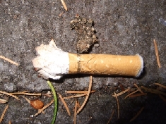 Cigarette butt