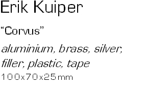 Erik Kuiper
Corvus
aluminium, brass, silver, filler, plastic,