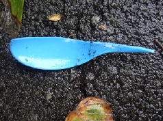 plastic spoon